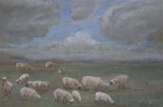 English School Sheep in a field 9 x 13in.